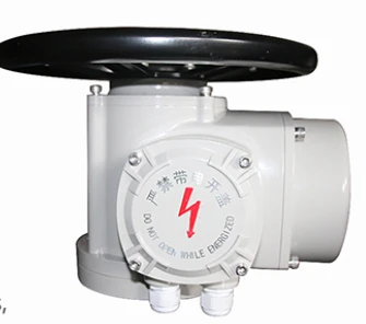 product-335-296 product-335-296