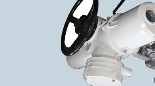 product-529-296