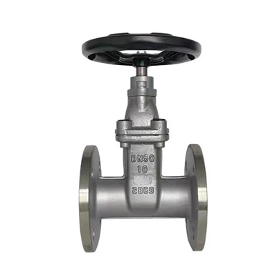 Valvola a saracinesca con tenuta morbida in acciaio inossidabile 316L