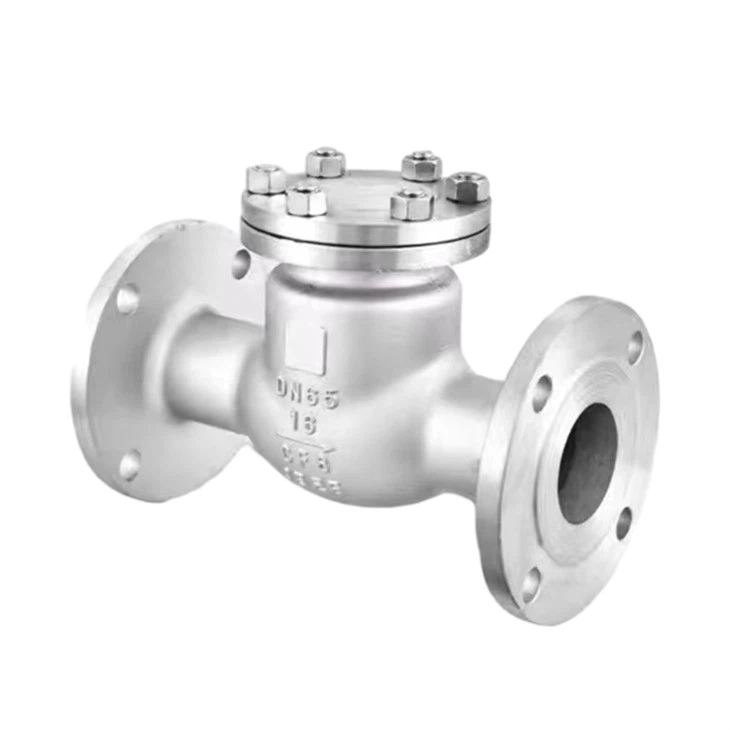 Stainless Steel 316 Swing Check Valve